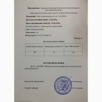 Продам горчицу белую посевмат