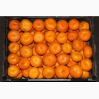 Продам мандарины мелким и крупным оптом сорта турция грузия испания фасованы в евро таре