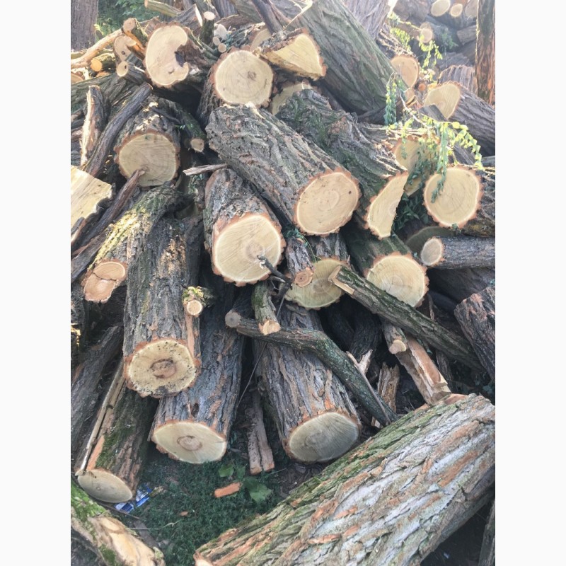 Фото 10. Продам в больших количествах дрова твердых пород (дуб, ясень, акация), и фруктовые дрова