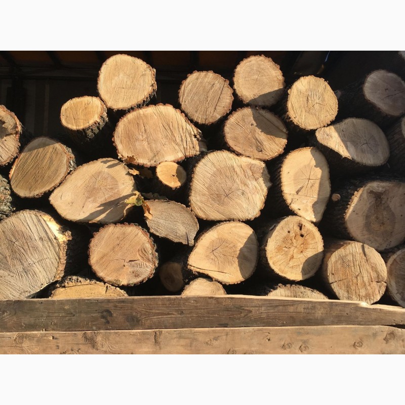 Фото 2. Продам в больших количествах дрова твердых пород (дуб, ясень, акация), и фруктовые дрова