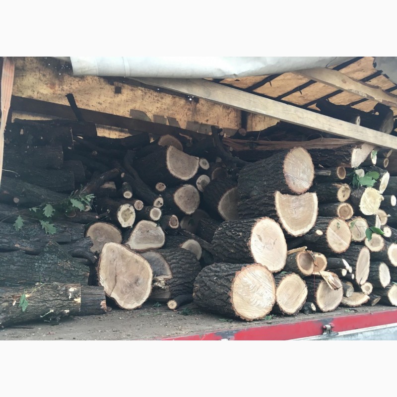 Фото 4. Продам в больших количествах дрова твердых пород (дуб, ясень, акация), и фруктовые дрова