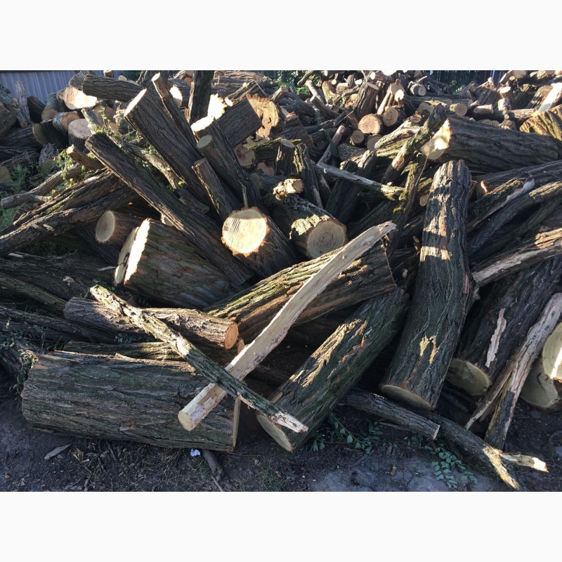 Фото 6. Продам в больших количествах дрова твердых пород (дуб, ясень, акация), и фруктовые дрова