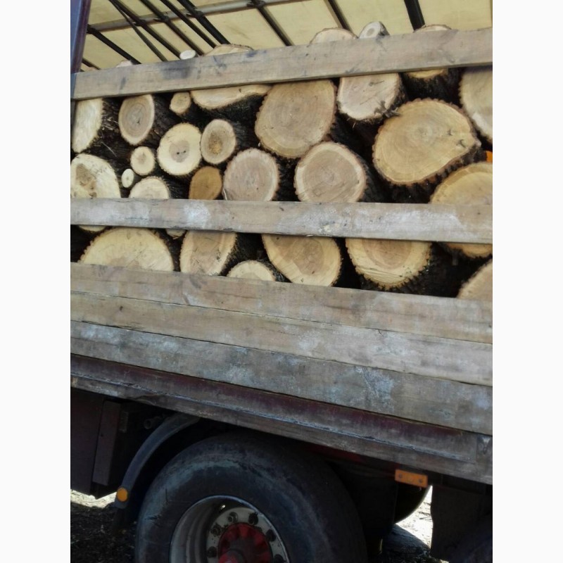 Фото 7. Продам в больших количествах дрова твердых пород (дуб, ясень, акация), и фруктовые дрова