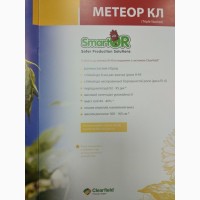 Насіння соняшнику Метеор КЛ