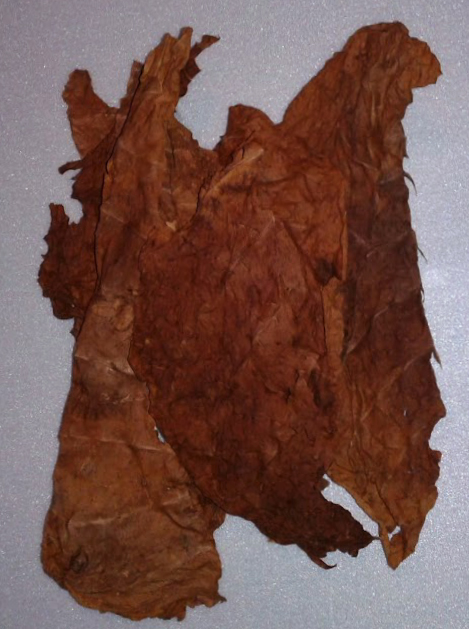 Фото 3. Сухой лист табака. Табак Кентукки Берли без центральной жилки Сухий лист тютюну