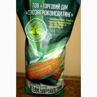 Продам семена кукурузы Пивиха, раннеспелая, ФАО 190