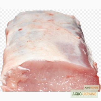 Фото 4. СРОЧНО продам от производителя говядину и свинину на экспорт внутренний рынок с 20 тонн