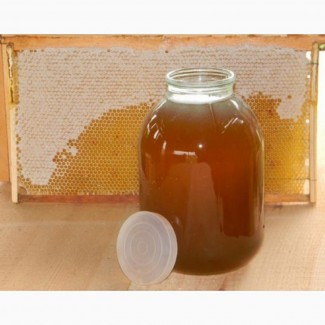 Продам оптом мед і пилок