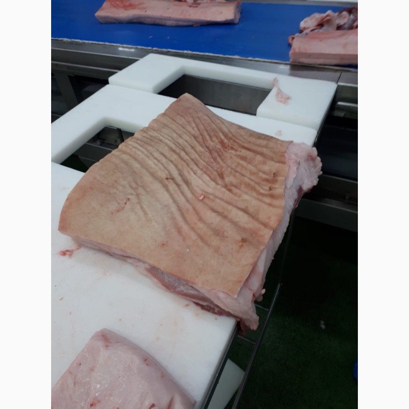 Фото 4. Продаем грудинка бекон свиная Испания
