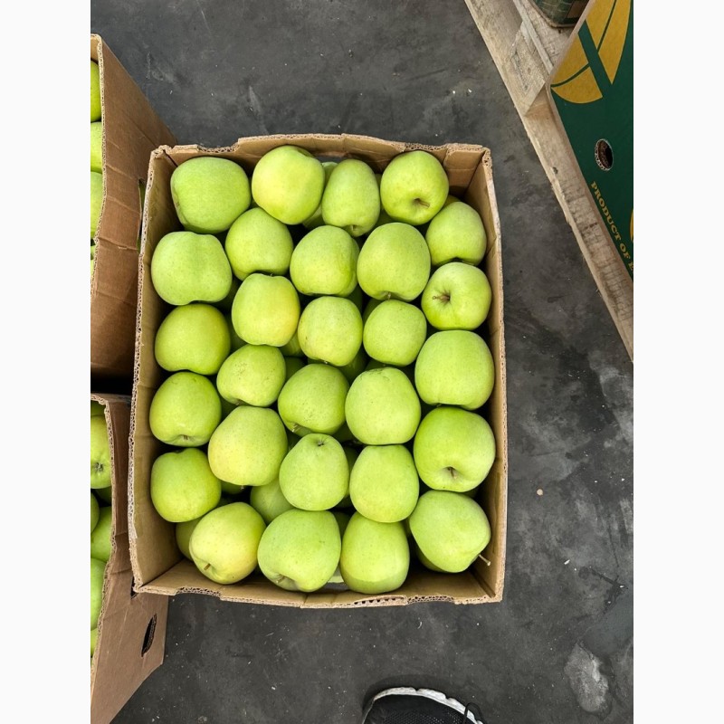 Фото 7. Продамо яблука із власного саду виробника - ФГ «Голден+»