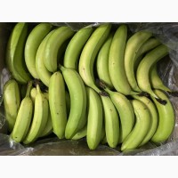 Продажа банана, страна происхождения Панама/