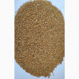 Продам просо жовте органічне, Organic Standard Ltd. (Panicum miliaceum) - 400т., б/н або $