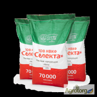Предлагаем посевной метериал кукурузы SELEKTA SEEDS