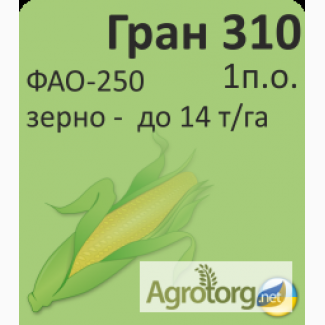 Продам гібрид кукурузи ГРАН 310 (урож.2018 р.)