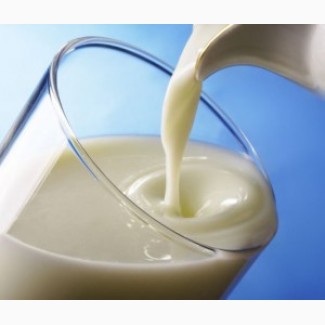 Продам домашнее коровье молоко оптом по договорной цене от 50л