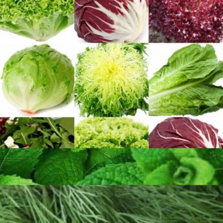Предлагаем зелень, салаты, пряные травы, специи, овощи