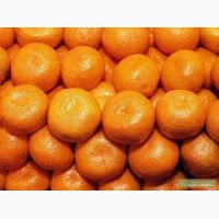 Продам мандарины грузинские турецкие в хорошем качестве сладкие калибр 5.6