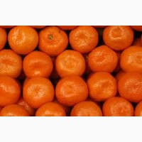 Продам мандарины грузинские турецкие в хорошем качестве сладкие калибр 5.6