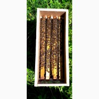 Продам Бджолопакети Карпатської породи недорого