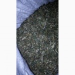 Продам ферментирований табак верджиния(мальборо) и самосад