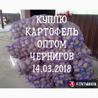 Закупаем Картофель опт