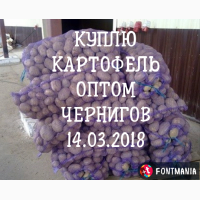 Закупаем Картофель опт