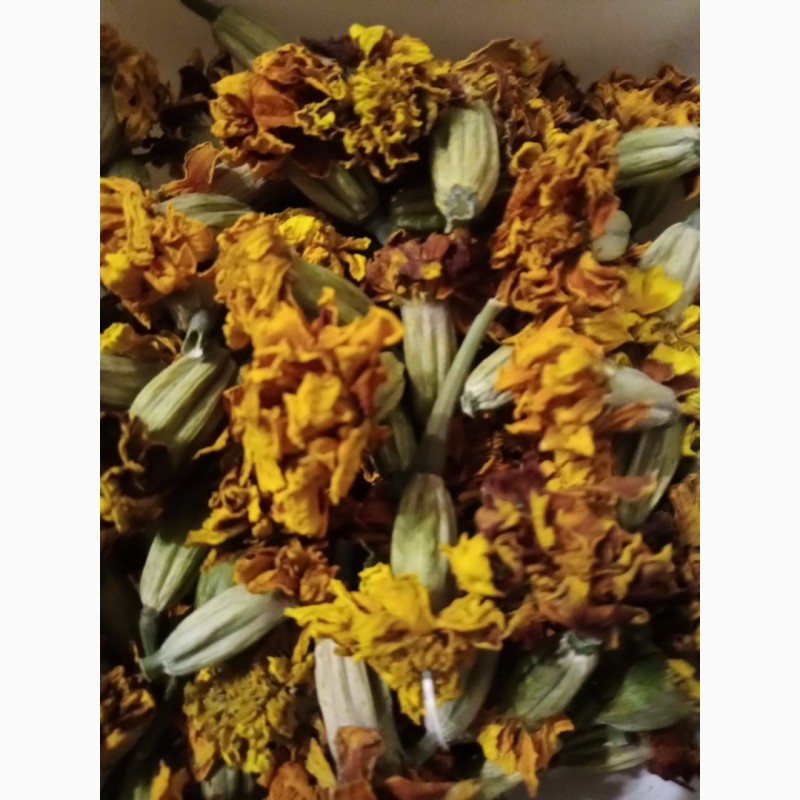 Фото 4. Продам квіти корзинки чорнобривців сухі