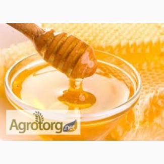 Куплю мед оптом: чистая гречка, липа, кориандр