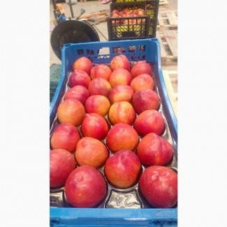 Продам персик, нектарин Турция (Мерсин)