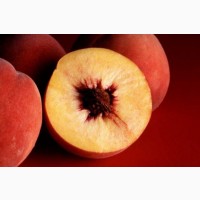 Продам персик, нектарин Турция (Мерсин)