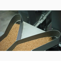 Очищення зерна на МПО (решета) + КВ2 (калібрування) та вібропневмостолі