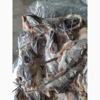 Продам рыбные отходы-белой рыбы (головы, хвосты)