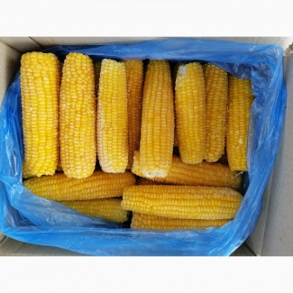 Продам кукурудзу цукрову Сингента GSS 3071 P, бланшовану і не бланшовану, заморожену
