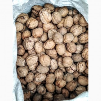 Продам орех грецкий не чищенный, урожай 2019