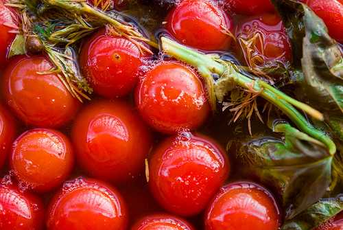 Фото 3. Продаж томат червоний солений бочковий