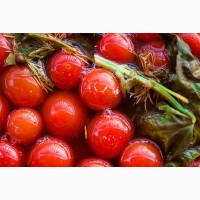 Продаж томат червоний солений бочковий