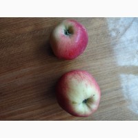 Яблуко Red delicious, 10 грн