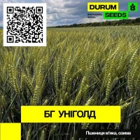 Насіння пшениці Durum Seeds. Сорт БГ Уніголд - Оригінатор Biogranum (Сербія)