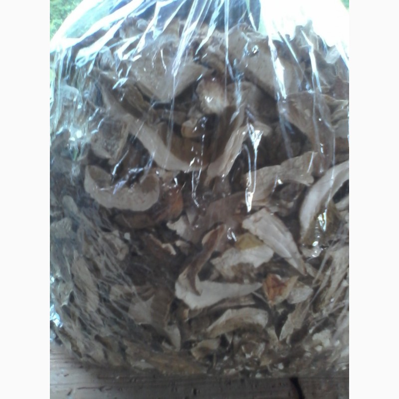 Фото 2. Продам сушеные белые грибы хорошего качества, цена указана за килограм