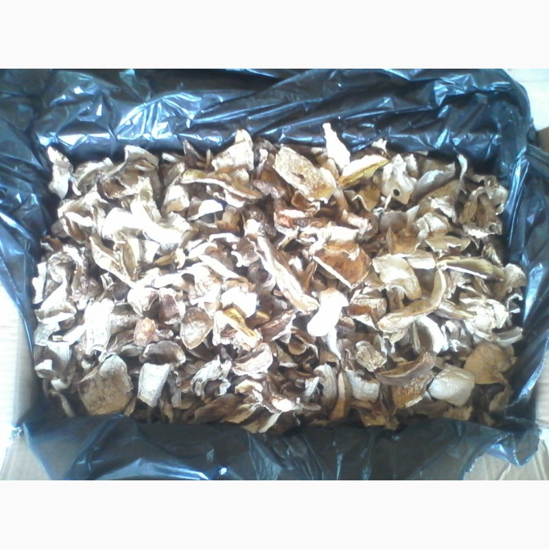 Фото 3. Продам сушеные белые грибы хорошего качества, цена указана за килограм