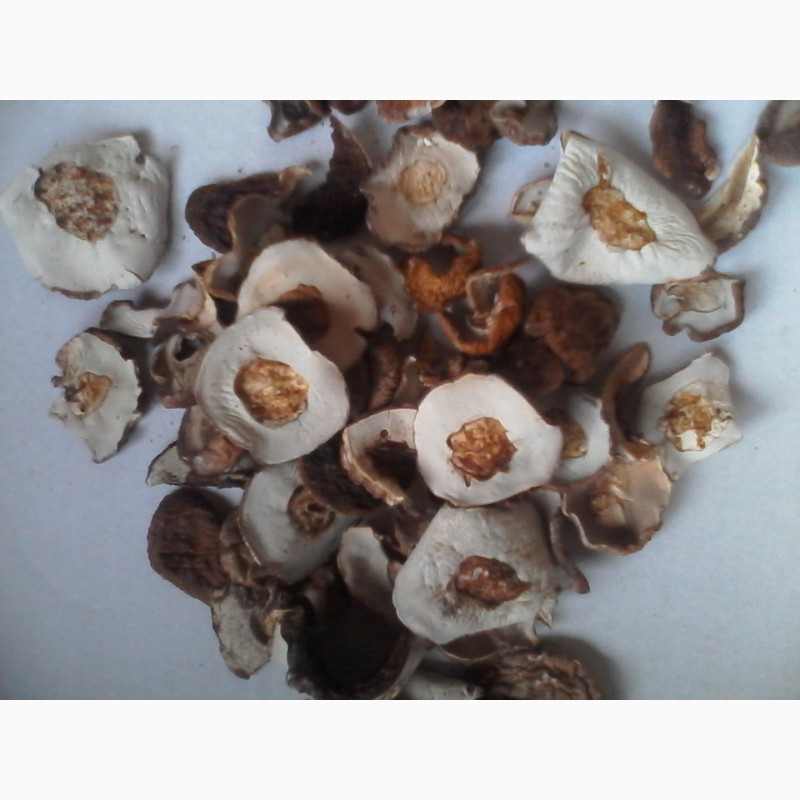 Фото 5. Продам сушеные белые грибы хорошего качества, цена указана за килограм