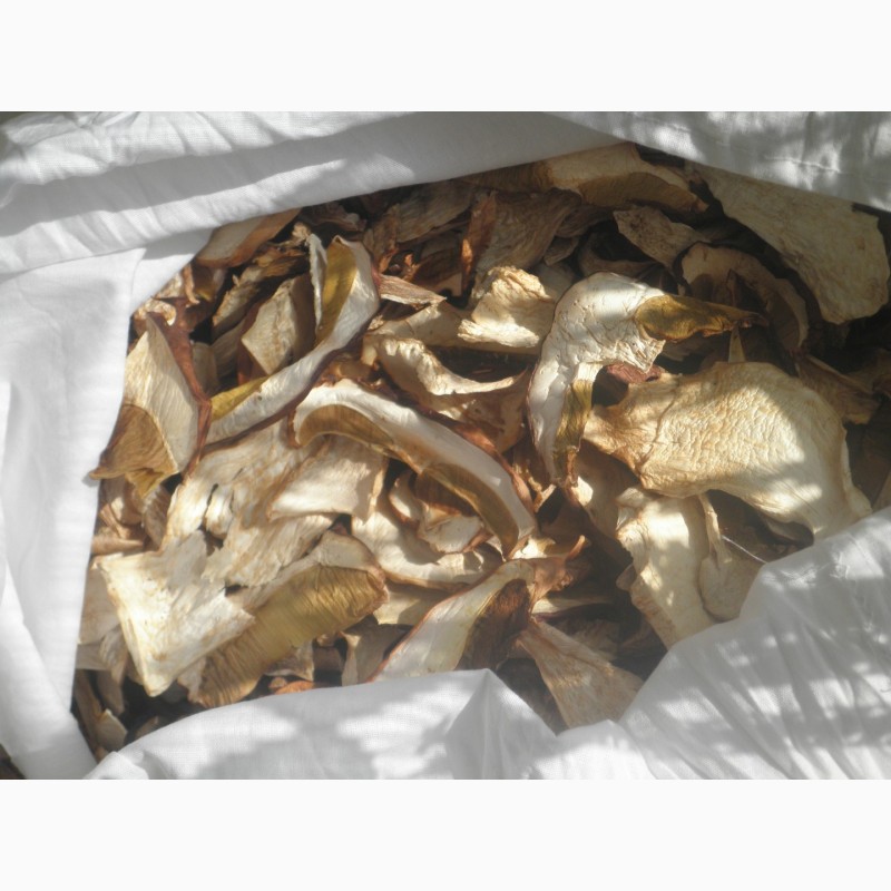 Фото 6. Продам сушеные белые грибы хорошего качества, цена указана за килограм