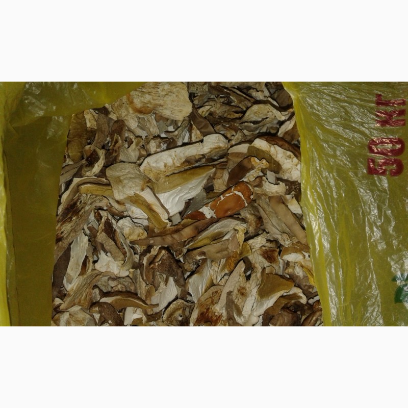 Фото 8. Продам сушеные белые грибы хорошего качества, цена указана за килограм