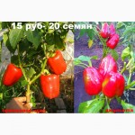 Свои семена.продажа.интернет магазин семян донецк луганск