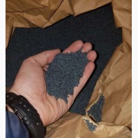 Семена рапса CHILKAT FS – 199 канадский озимый гибрид