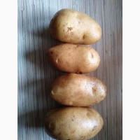 Продам картоплю оптом