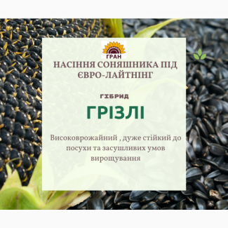 НОВИНКА на ринку України, Насіння соняшника стійкого до Євролайтнінгу Української селекції