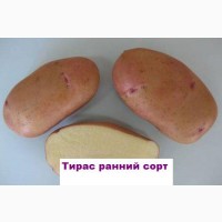 Продам посевну картошку