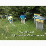 Пчелопакеты Карпатской пчелы и плодные матки. Доставка по Украине