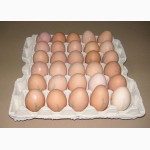 Продам яйцо куриное СО, С1, С2, Сгр